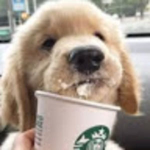 Meet your Posher, Sofia